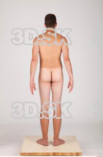 Body texture of Dionyz 0025